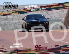 144-lee-2019-bborr