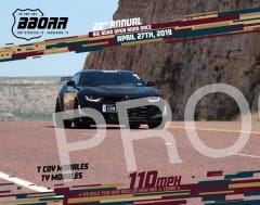 163-t-coy-2019-bborr