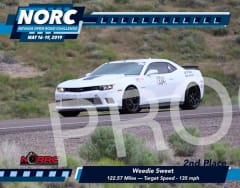 334-Leland-2019-NORC